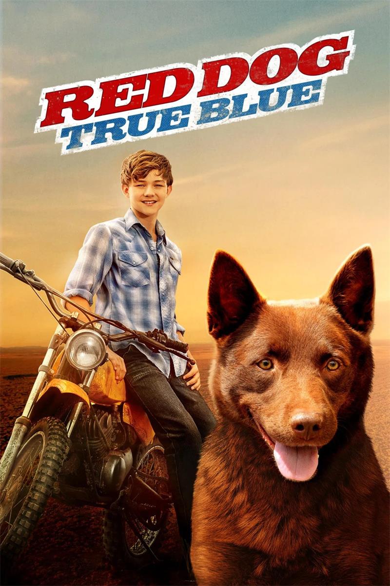 红犬背包客2:蓝犬 红犬历险记2:蓝犬 Red Dog: True Blue 粤语版