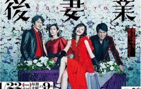日剧专业黑寡妇粤语配音版全9集 后妻业粤语版