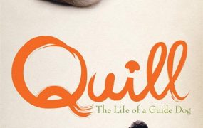 粤语配音电影导盲犬小Q 再见了可鲁 Quill クイール