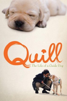 粤语配音电影导盲犬小Q 再见了可鲁 Quill クイール