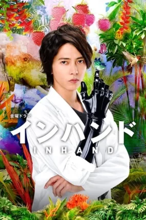 日剧铁手怪杰粤语配音版全11集 胜券在握粤语版