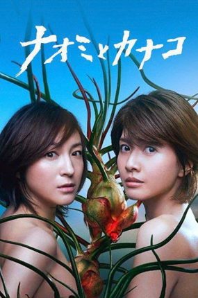日剧直美与加奈子粤语配音版全10集 直美和加奈子粤语版