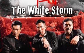 香港电影扫毒 扫毒粤语版