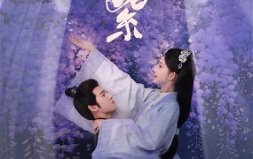 电视剧九重紫粤语配音版全34集 九重紫粤语版