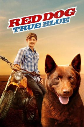粤语配音电影红犬背包客2:蓝犬 红犬历险记2:蓝犬 Red Dog: True Blue