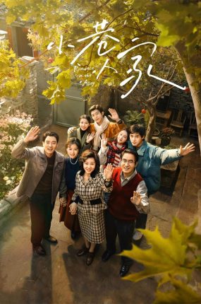 电视剧小巷人家粤语配音版全40集 小巷人家粤语版