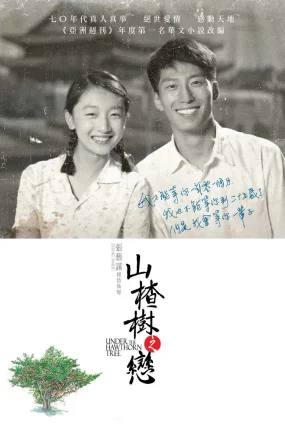 粤语配音电影山楂树之恋 山楂树 Under the Hawthorn Tree