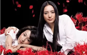 日剧美丽慌邻粤语配音版全10集 美丽邻人 邻家美人粤语版