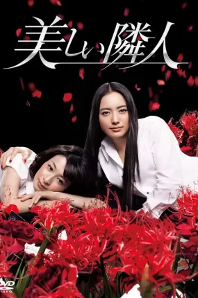 日剧美丽慌邻粤语配音版全10集 美丽邻人 邻家美人粤语版